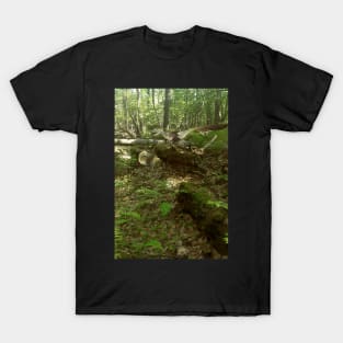 Velociraptors in Nature T-Shirt